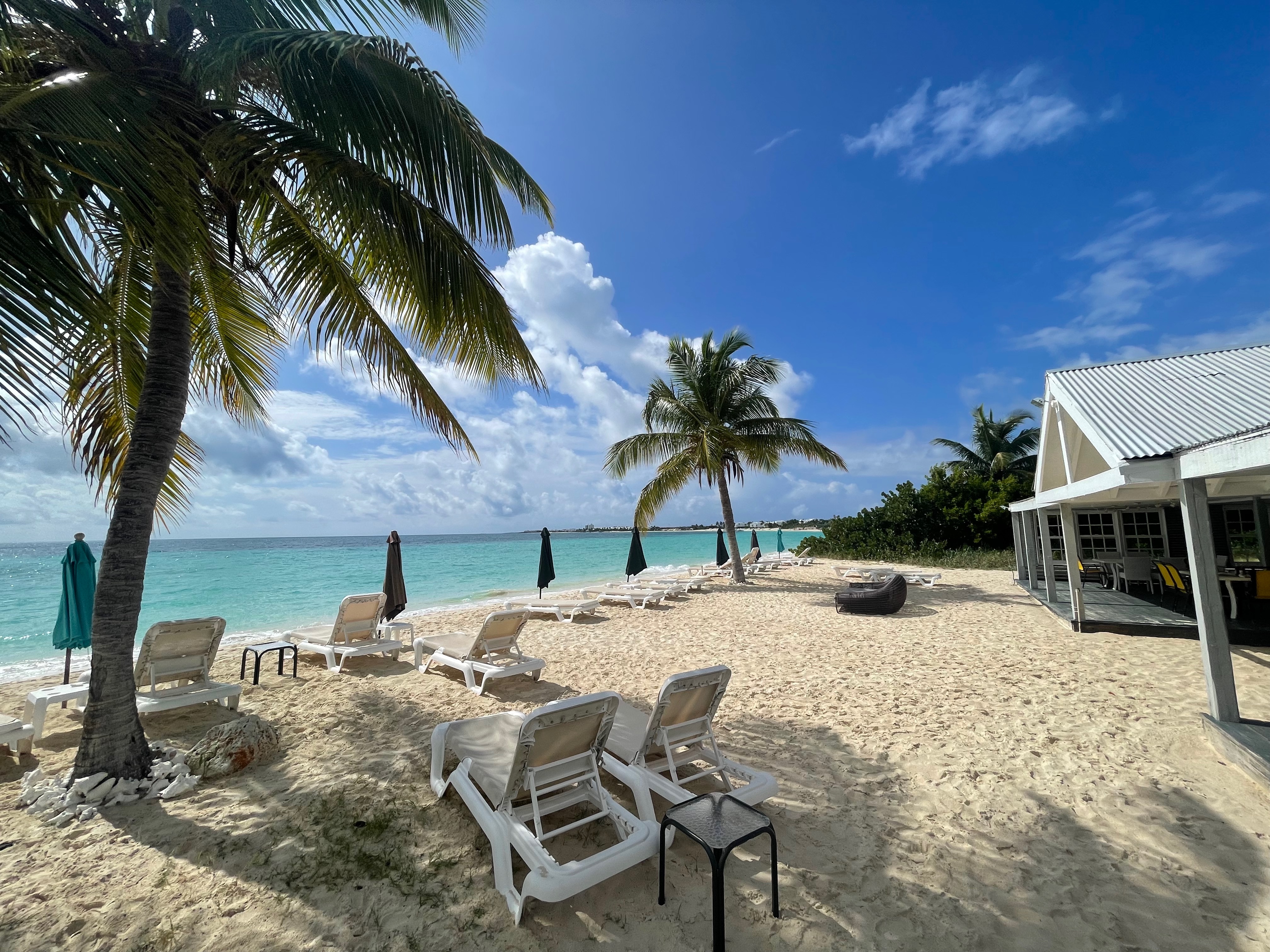 Tasty (Ex The Place)