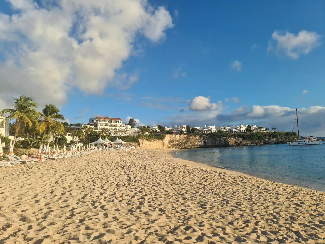 Perfect for the sunset