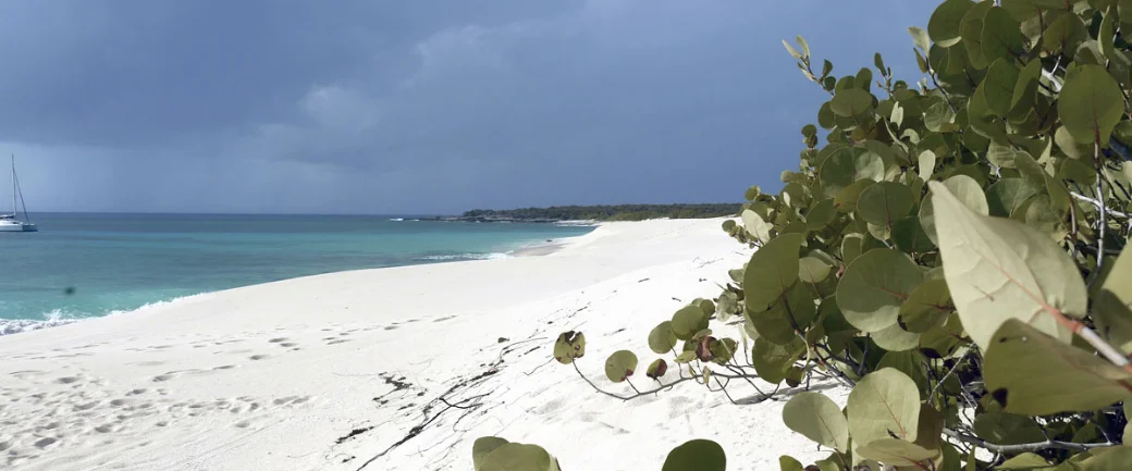 A wild unhabited island - 3